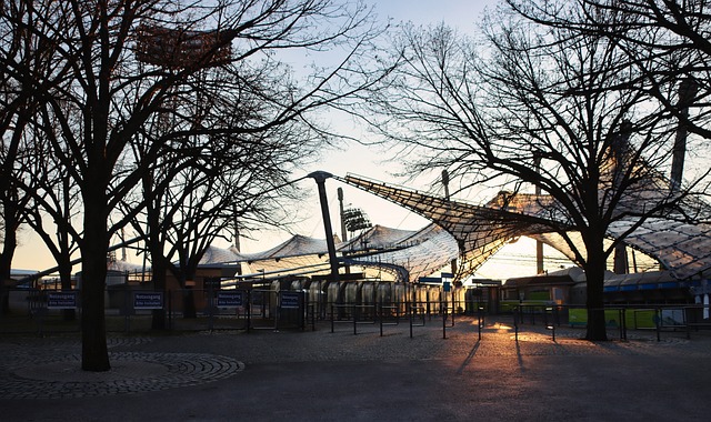 球队带来的 球队带来的