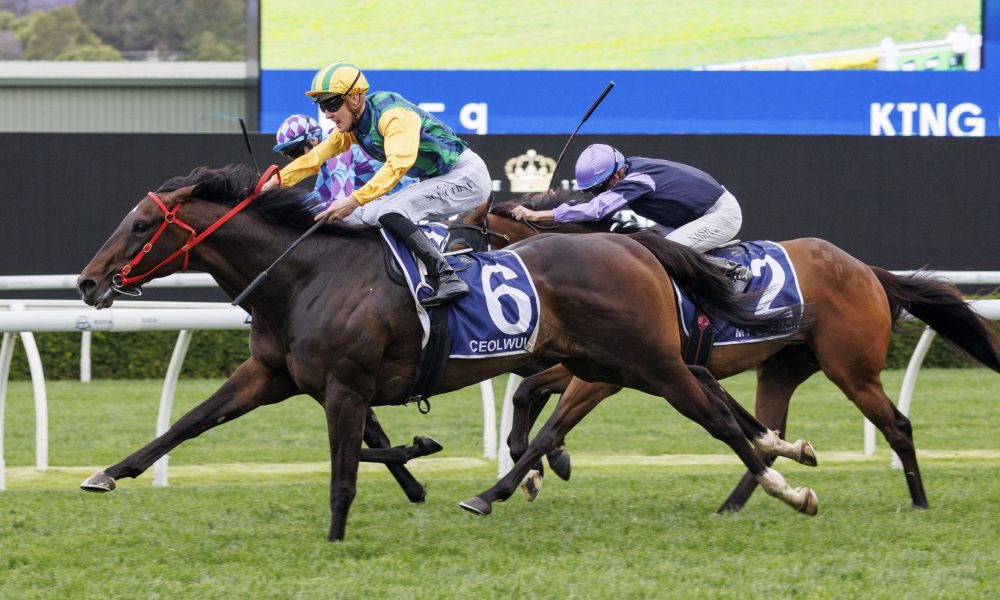 意甲赛场上 意甲赛场上