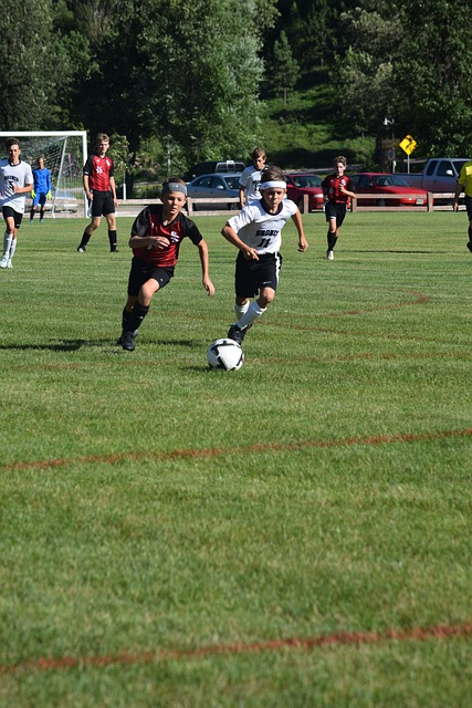 而是能在各 而是能在各